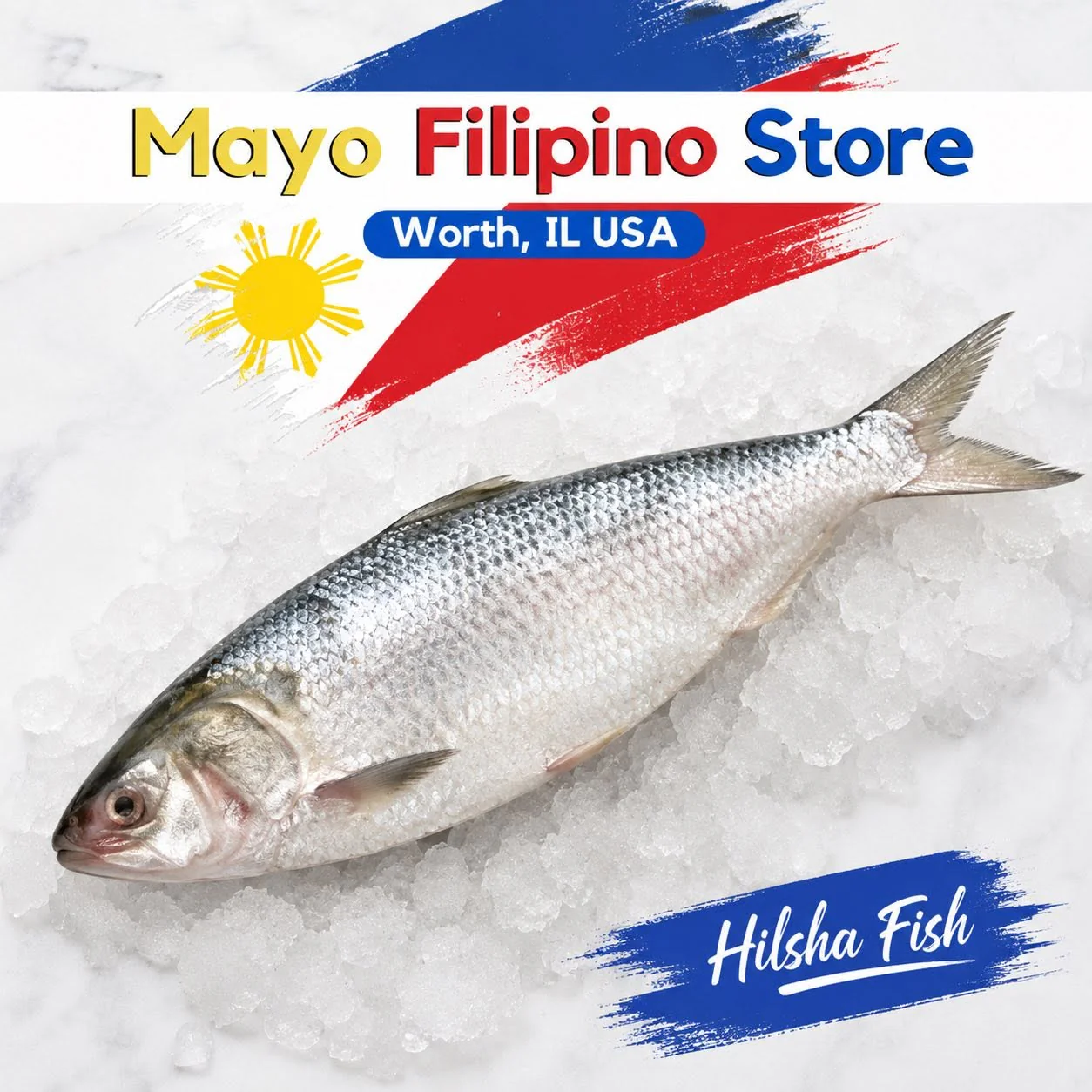 Tamban / Hilsa / Ilish / Hilsa shad Fish 2 lbs per pack
